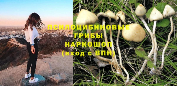 mix Медногорск